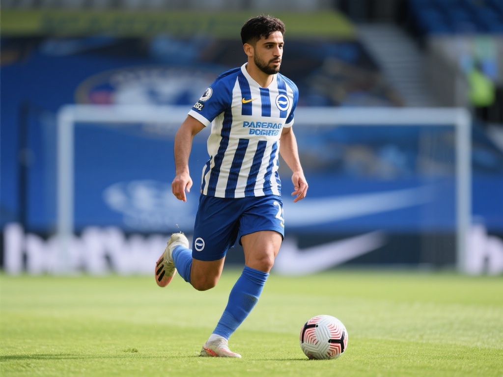 不仅能提升 不仅能提升